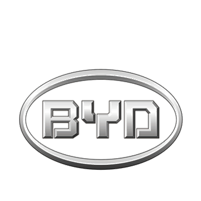 Что означает byd